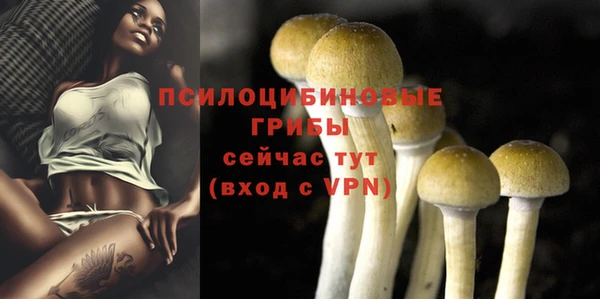 дмт Алексин