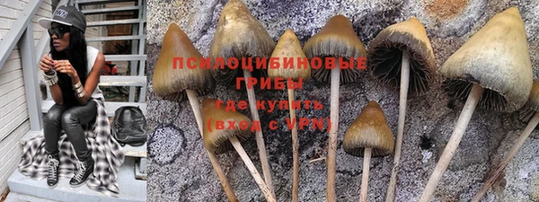 дмт Алексин