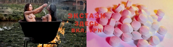 дмт Алексин