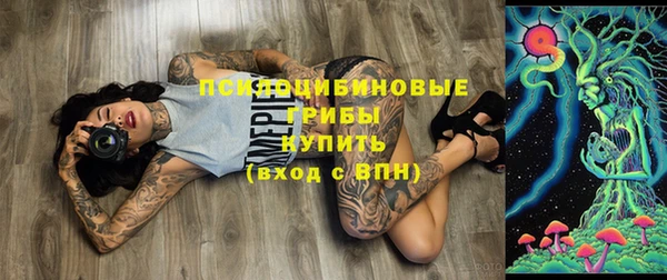 ешки Алзамай