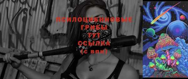 ешки Алзамай