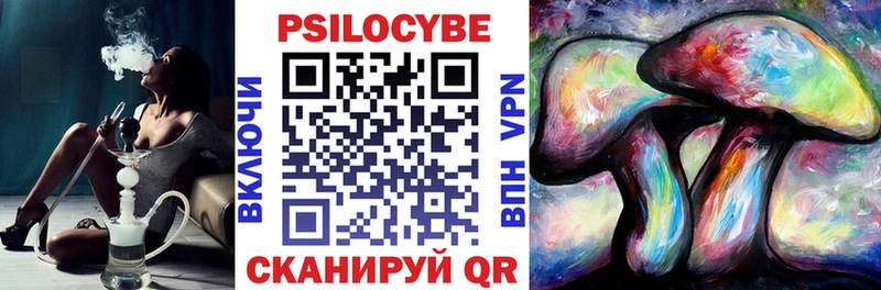 где можно купить наркотик  Невьянск  Псилоцибиновые грибы Psilocybine cubensis 
